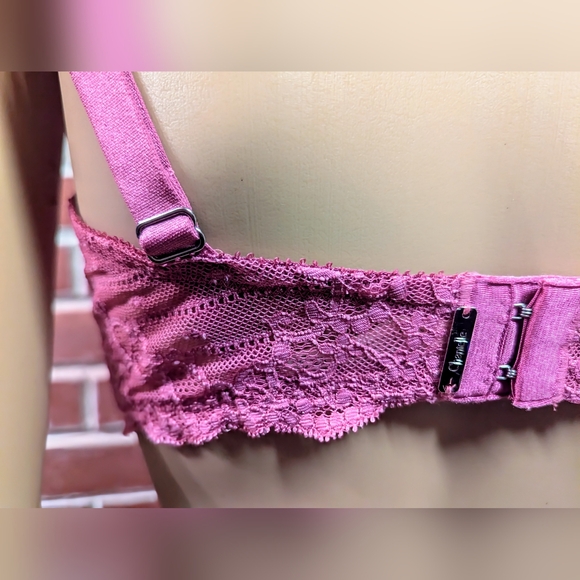 Chantelle Rive Gauche Pink Lace 36DD - Picture 5 of 8